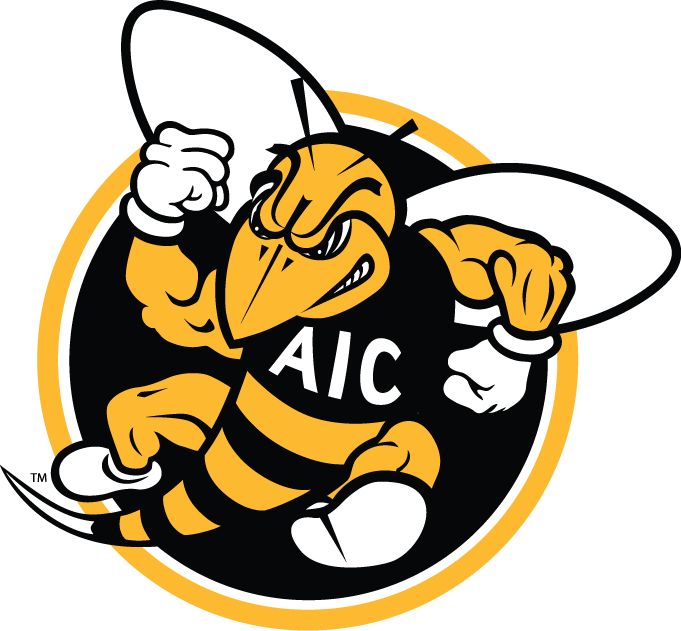 AIC Yellow Jackets 2009-Pres Alternate Logo t shirts DIY iron ons v2
